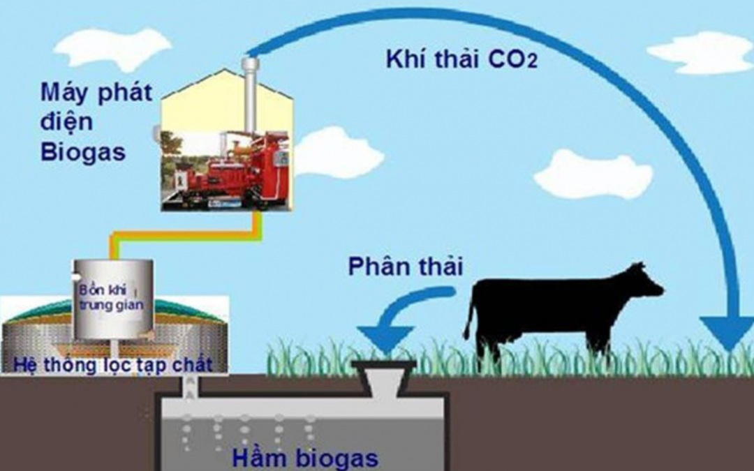 Đánh giá hiệu quả mô hình phát điện bằng khí sinh học
