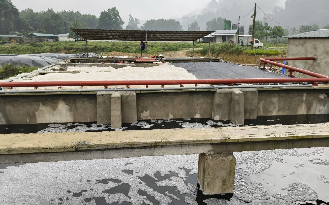 Hệ thống xử lý nước thải chăn nuôi Trang trại lợn Công ty Lâm nghiệp Hương Sơn, Hà Tĩnh