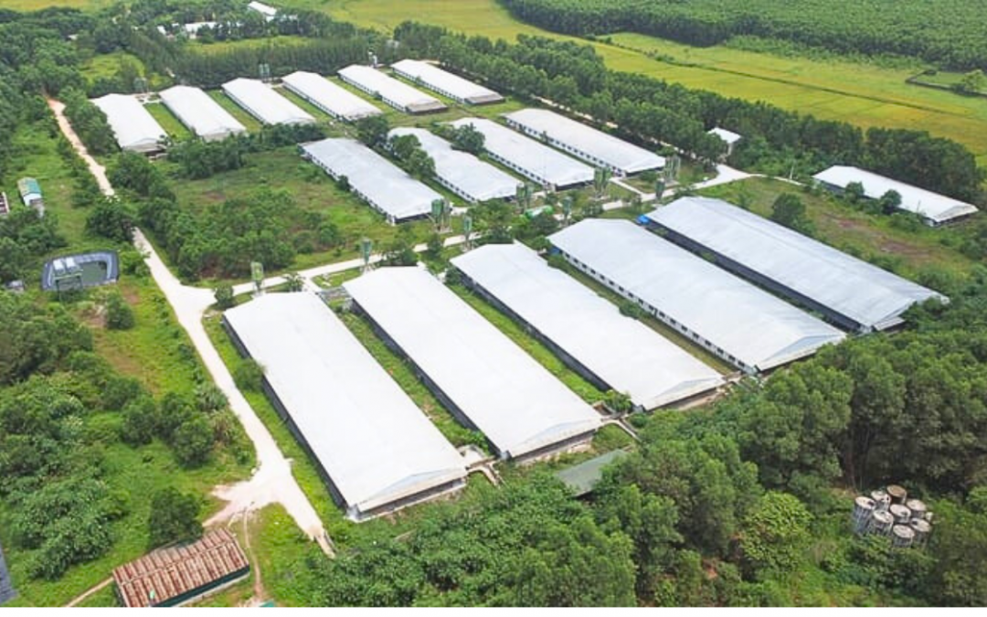 Báo cáo đề xuất cấp Giấy phép Môi trường cho dự án ” Trung tâm sản xuất lợn giống chất lượng cao Mitraco” tại xã Kỳ Phong, huyện Kỳ Anh, tỉnh Hà Tĩnh